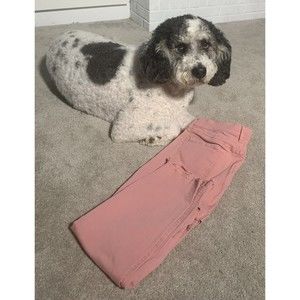 ann taylor loft pink jeans distressed edges Size 30 Or Size 10 Petite